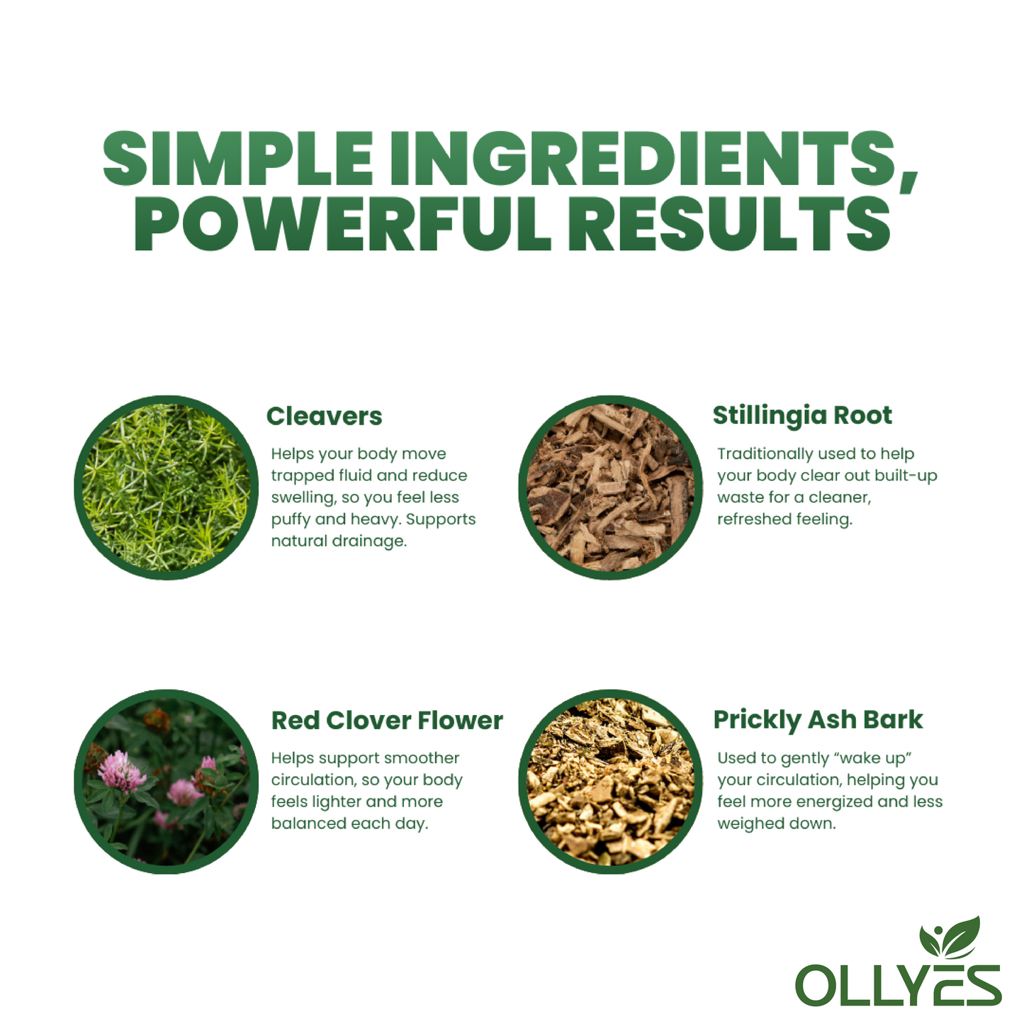 Wellness Drops for Lymphatic Drainage